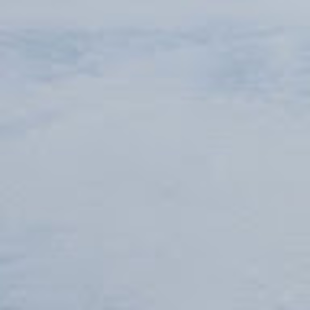 Meet your Posher, Faezeh